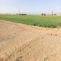 فروش-زمین