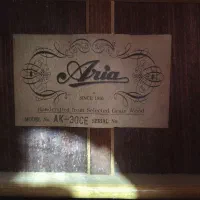 گیتار حرفه ای آریا ak30|گیتار، بیس، امپلیفایر|ساری, |دیوار