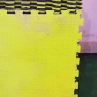 تشک تاتامی تعداد 30 عدد|تجهیزات ورزشی|رشت, پل تالشان|دیوار