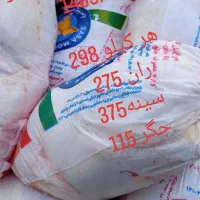شاگرد پروتئینی