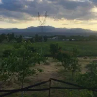 زمین-باغی