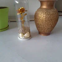 دو عدد گلدان تزیینی در حد رایگان