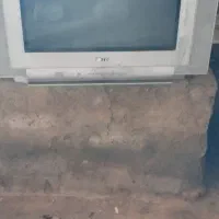 تلویزیون|تلویزیون و پروژکتور|کنگاور, |دیوار