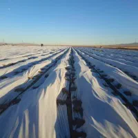 کاور کشاورزی