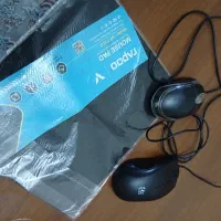 دو عدد مویس به همراه زیر مویس تبی نو