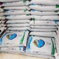 توزیع بچه ماهی قزل الا و بچه ماهی کپور کوهان دار|ماهی|زنجان, |دیوار