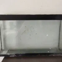 آکواریوم سالم بدون خط و خش