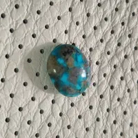 فیروزه شجری نیشابور