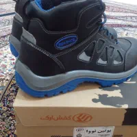 کفش ایمنی ارک