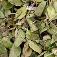 آویشن کوهی کازرون فارس  ۱۳کیلو خشک شده، عطر قوی