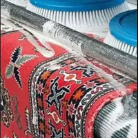 قالیشویی پدیده