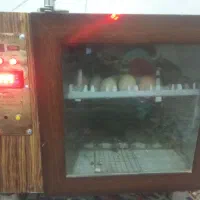 دستگاه جوجه کشی