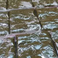 سبزی خورشتی خوزستان