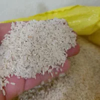 لاشه هاشمی خالص خالص به وزن ۳۵۰۰ کیلو