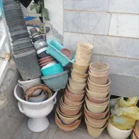 گلدان|گل و گیاه طبیعی|بیرجند, |دیوار