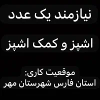 نیازمند یک اشپز و کمک اشپز