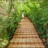 نیروی خانم برای خدمات ، نظافت، پخت نان و بازاریابی|استخدام سرایداری و نظافت|نیشابور, فضل|دیوار