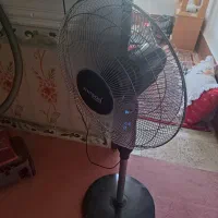 پنکه واتسون