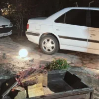 دارم میرم تهران