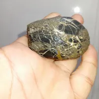 سنگ عقیق.یشم.شجر.اوپال.جواهراتی خاصترین سنگ