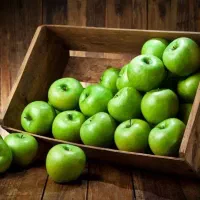 استخدام چندین خانواده خانم و اقا