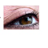 خواهان مدل برای خدمات ارایش دایم برای زمان محدود