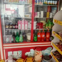 یخچال ایستاده مغازه