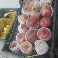 انار بجستان خون