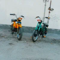 براوو مدل 79 مخصوص بازلخ و کلسیم