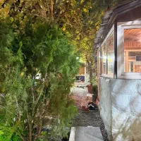 مراسم /تولد /دورهمی