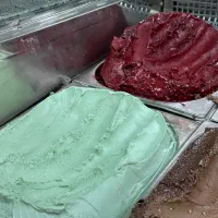 تعدادی نیرو کار باتجربه ماهر بستنی فروشی