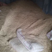 کاه گندم