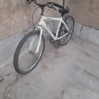 دوچرخه سالم|دوچرخه، اسکیت، اسکوتر|پاکدشت, پاکدشت (مامازند)|دیوار