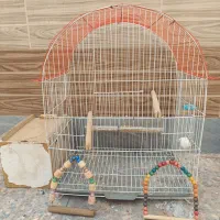 قفس پرنده بزرگ