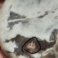 با ارزش ترین سنگ راف (الله)