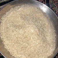 برنج طارم