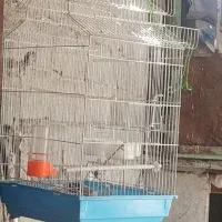 قفس پرنده سایز بزرگ