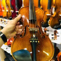 دستساز چین|ویولن|شیراز, شهرک گلستان|دیوار