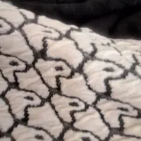 روکش صندلی ناهارخوری|میز و صندلی غذاخوری|شیراز, چوگیاه|دیوار