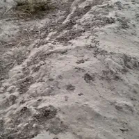 یک قواره زمین روستایی