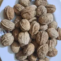 گردو|خوردنی و آشامیدنی|چناران, |دیوار