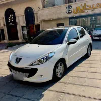 ۲۰۷ پانا معاوضه و نقد و اقساط