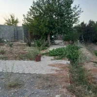 فروش باغ 310 متری در نجف آباد .گلدشت . قلعه سفید|فروش زمین و ملک کلنگی|نجف‌آباد, بازار|دیوار