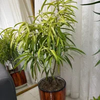 گلای لوکس اپارتمانی
