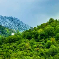 فروش ۵۰ قصب باغ ویلا قناتغستان