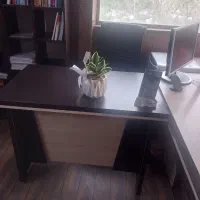 استخدام لیبل زن دائم