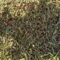 خار درجه یک بدون گرد وچوپ تمیز