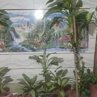 فروش گل
