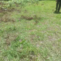 زمین داخل طرح بحر خیابان