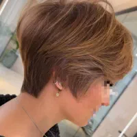 مدل رایگان کوتاهی ژورنالی